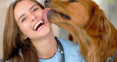 Why does my dog lick me so much?