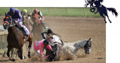 5 reasons why horse racing is cruel